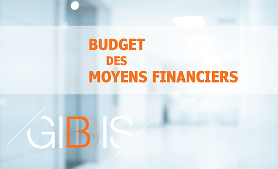 BMF Visuel